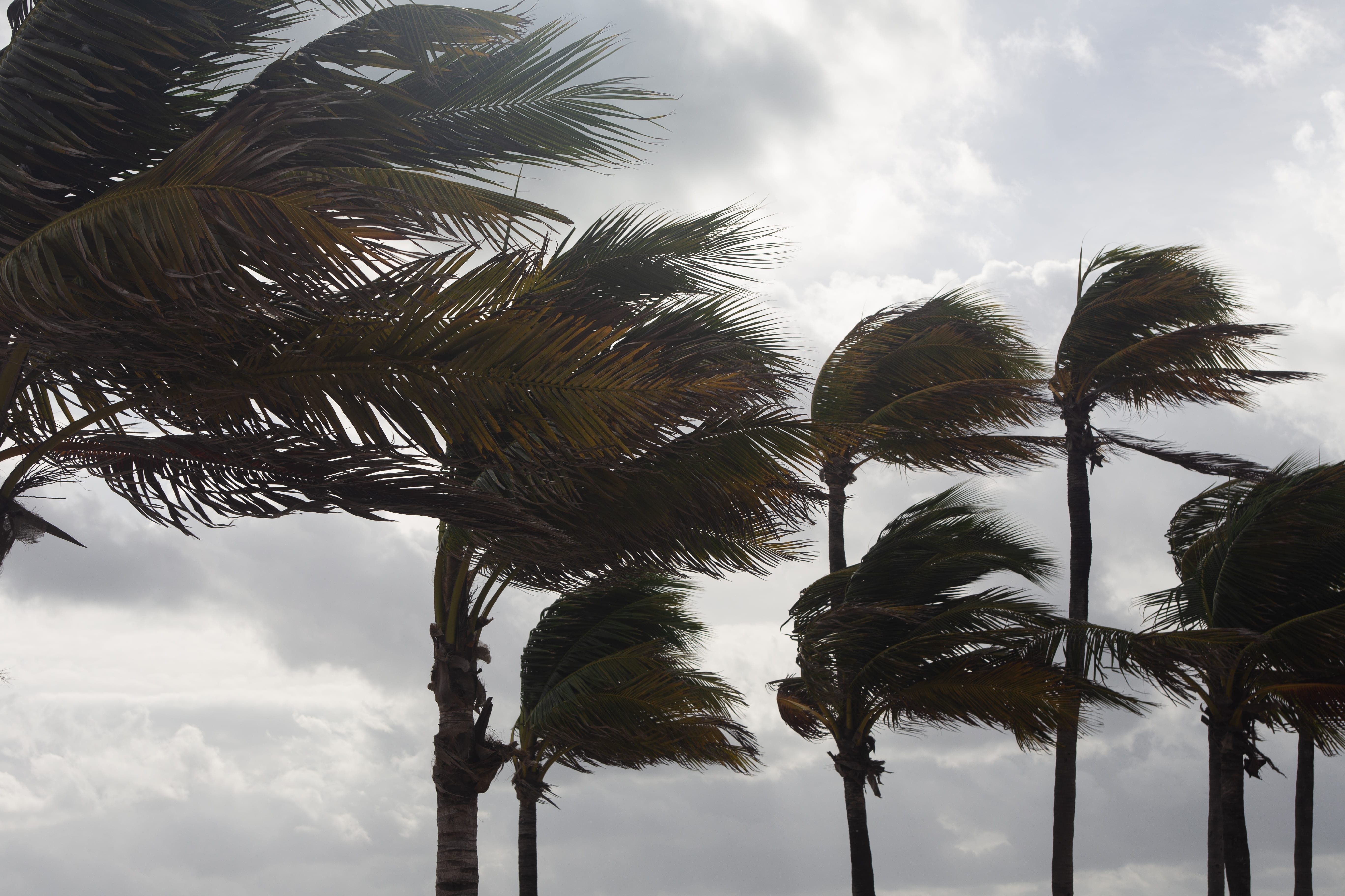 Miami Hurricane Prep